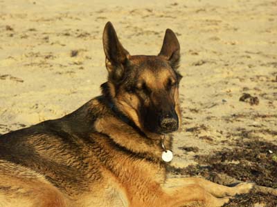 Nach einem Tag am Strand, gl�cklich aber m����de....