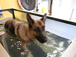 Bild 33