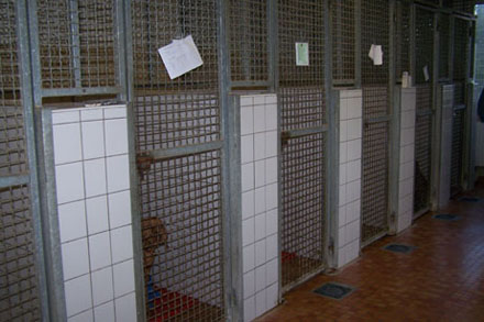Die "Krankenstation".