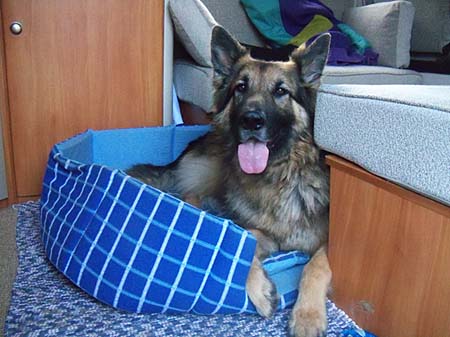 Poldi in unserem Camper.