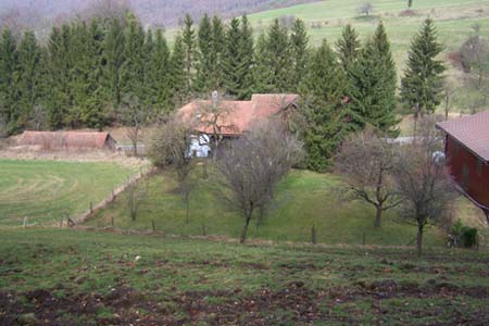 Auslauf von oben.