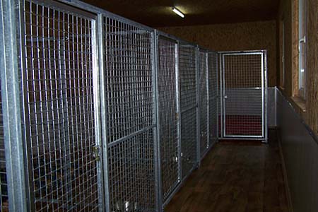 Dezember 08: Der Schlafsaal ist fertig, nun findet beim Fressen und nachts auch jeder Hund seine Ruhe.