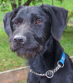 Chouca