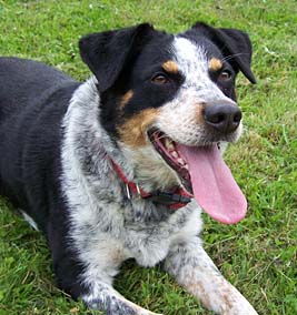Jura