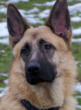 Louka