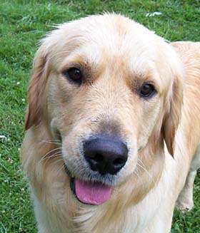 Pasco