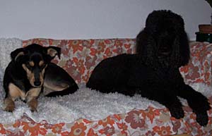 Balu und Luna Balu und Luna