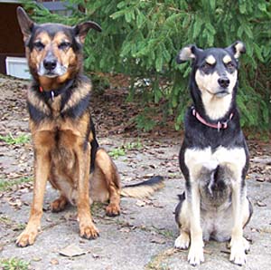 Jeff und Luna Jeff und Luna