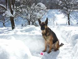 So viel Schnee....... So viel Schnee.......