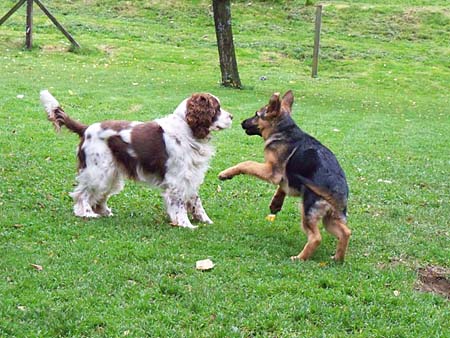 .......und dann wird gespielt. ......und dann wird gespielt.