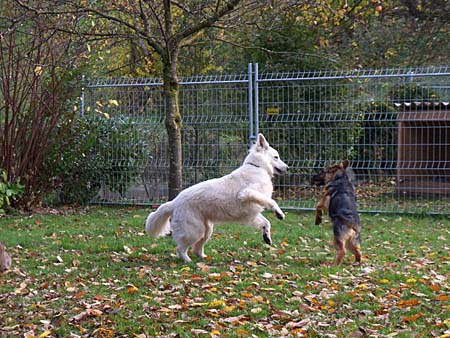 Chaska und Ayla Chaska und Ayla