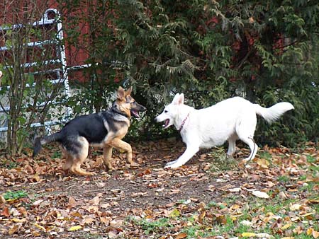 Chaska und Munja