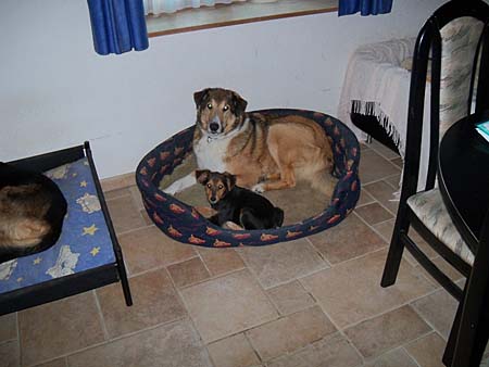 Roucky und Ringo Roucky und Ringo