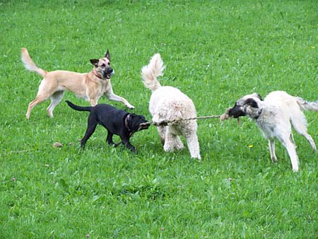 Emma, Shana, Lotti und Jack