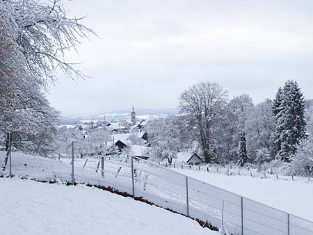 Ausblick aufs Dorf aus Sicht des Hundeauslaufs