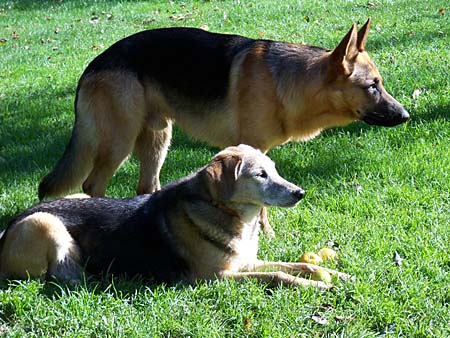 Aisha und Chaska
