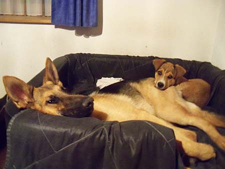 Chaska und Chili Chaska und Chili
