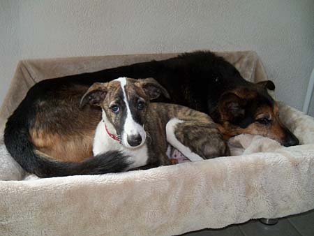 Caty und Jeff