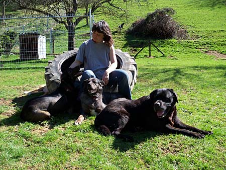 Ferieng�ste Diego und Teo, Pflegehunde Herby und Chili