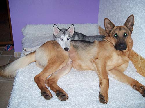 Chaska und Nanouk - 2 Lausebengels Chaska und Nanouk - 2 Lausebengels