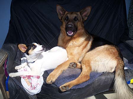 Und wenns mal sch�n Wetter ist, relaxt man am liebsten draussen auf dem Sofa.