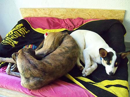 Zahira und Linus. Zahira und Linus.
