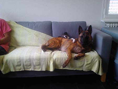 Sonntag, nach dem Spaziergang...