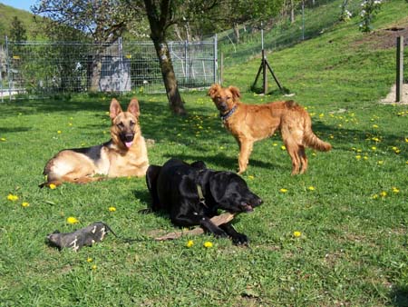 Mara und Filou Mara und Filou