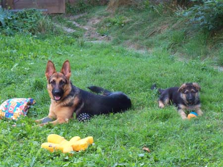 Chaska und Cara Chaska und Cara