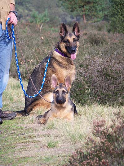 In der L�neburger Heide