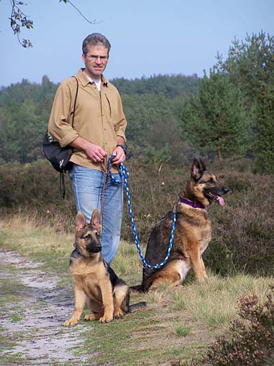 Und noch immer in der Heide