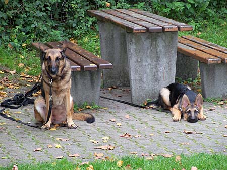 Warten aufs Morgenessen an der Autobahn-Rastst�tte