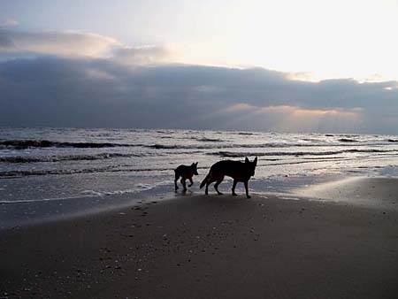 Sonnenuntergang auf Usedom