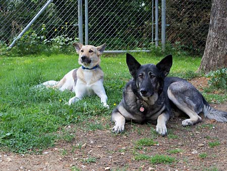 Charly und Kaya