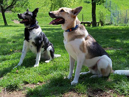 Charly und Nino