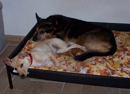 Jeff und Camilla - jetzt Floppy