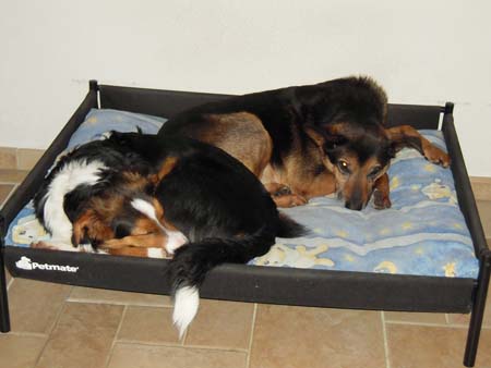 Jeff und Mexie