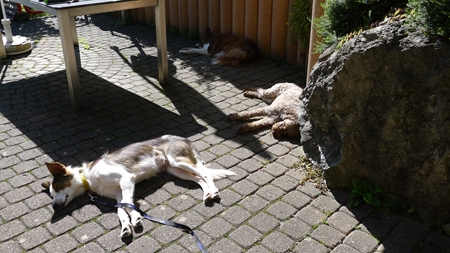 zu hause sieht es dann so aus.... zu hause sieht es dann so aus....