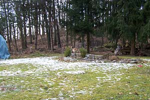 Auf Schnuppertour im neuen Garten