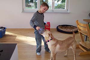 Sina und Joel