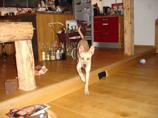 Alles neu........ Alles neu........