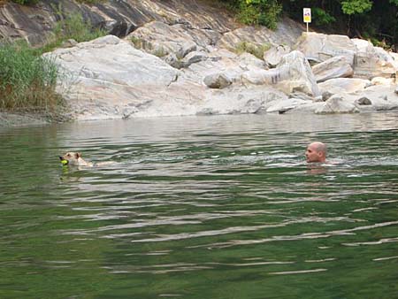 Die ehemals wasserscheue Floppy entwickelt sich zur Wasserratte...hier in der Maggia