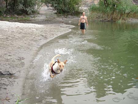Wasser ist inzwischen richtig cool