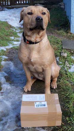 Ein Paket f�r MICH !