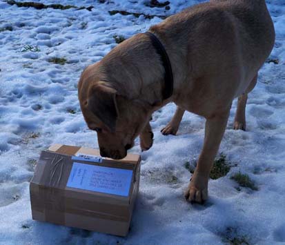 Was da wohl drin ist ???