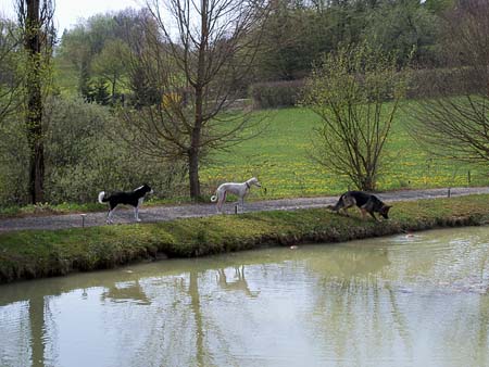 Whrend dem die "alten Hasen" dem schwimmenden Brot gelassen zuschauen: Sunny und Valentina.