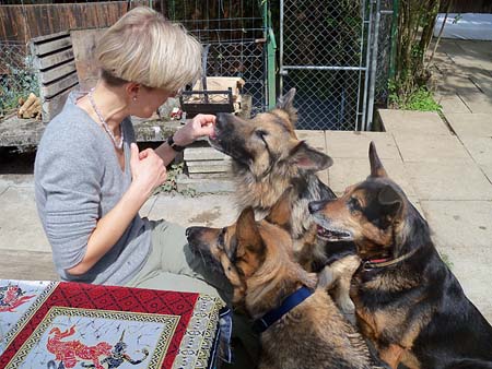 Auch die Hunde kriegen ihren Teil an Leckerlis: Poldy, Grisette und Jeff. Auch die Hunde kriegen ihren Teil an Leckerlis: Poldy, Grisette und Jeff.