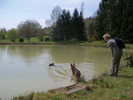 Poldi holt die Zapfen, w�hrend Grisette am Ufer wartet.