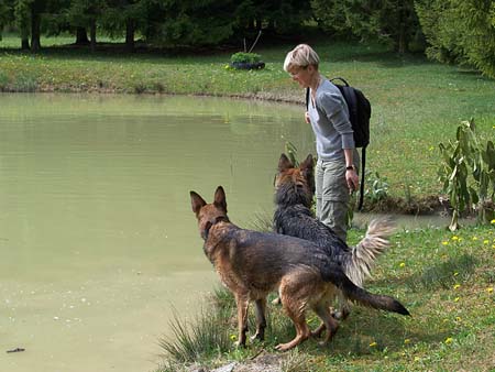 Am Weiher: warten auf den Tannzapfen..........