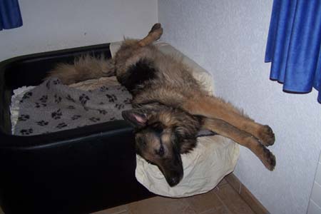 Endlich mehr Platz :-) Endlich mehr Platz :-)
